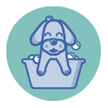 Hydrodog Mobile Dog Grooming Service : Dog Washing
